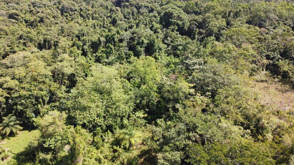 listing image with ID 64249