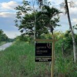 listing image thumbnail with ID 65035