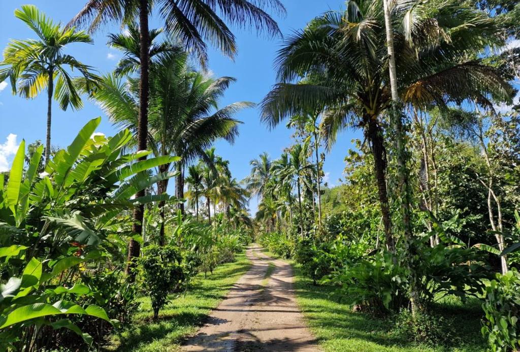 listing image with ID 64987