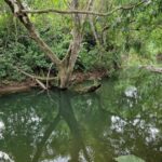 listing image thumbnail with ID 67542