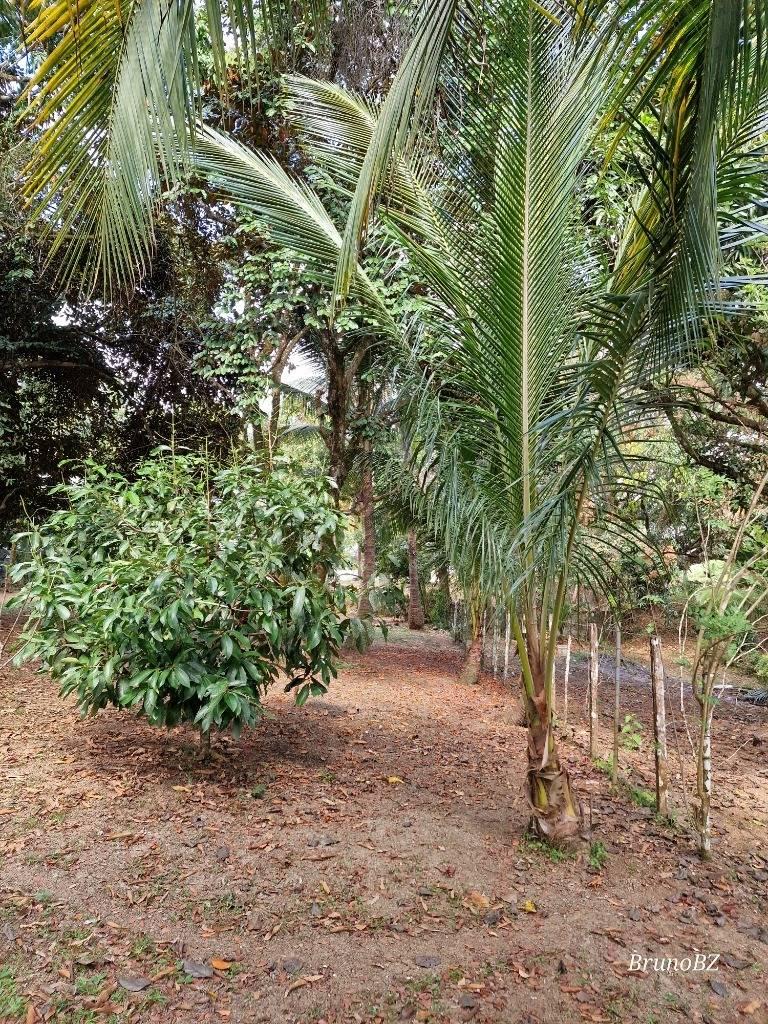 listing image with ID 67990