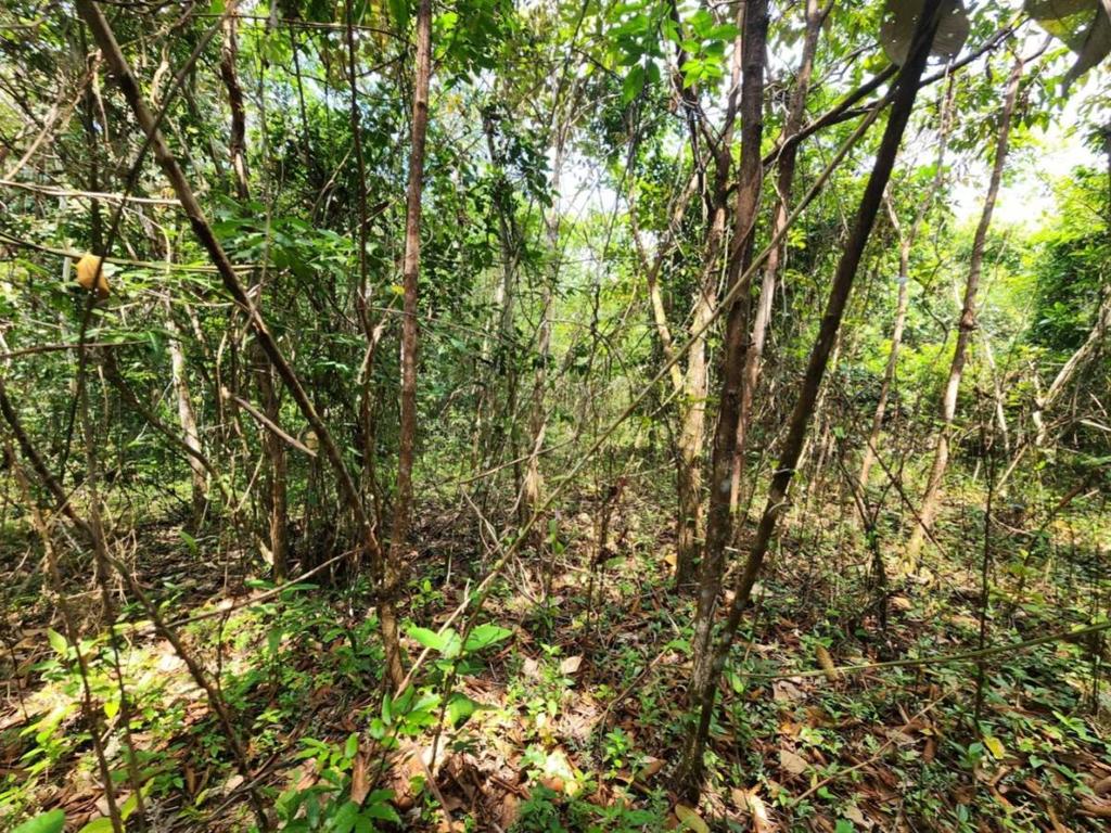 listing image with ID 69208