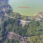 listing image thumbnail with ID 64919