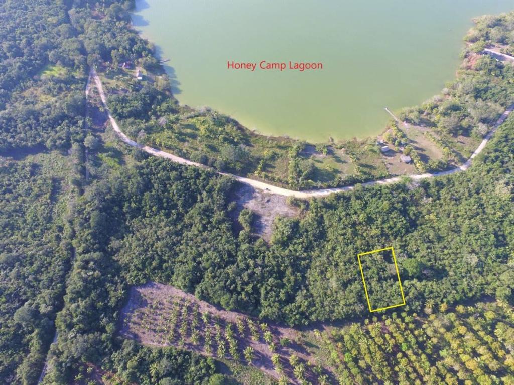 listing image with ID 64919