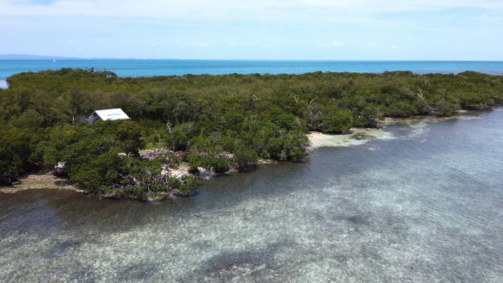 listing image with ID 65392