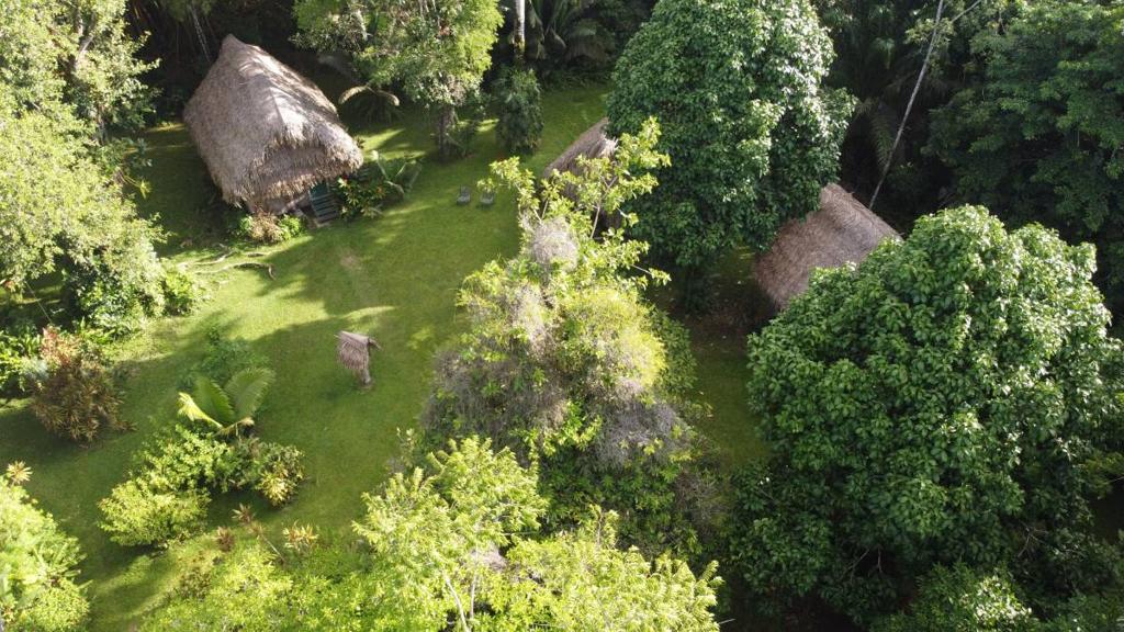 listing image with ID 65500