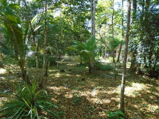 listing image with ID 64798