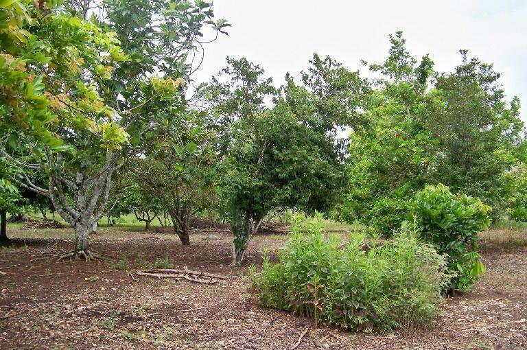 listing image with ID 69372