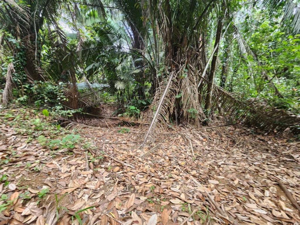 listing image with ID 64906