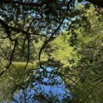 listing image thumbnail with ID 65210