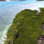 listing image thumbnail with ID 63568