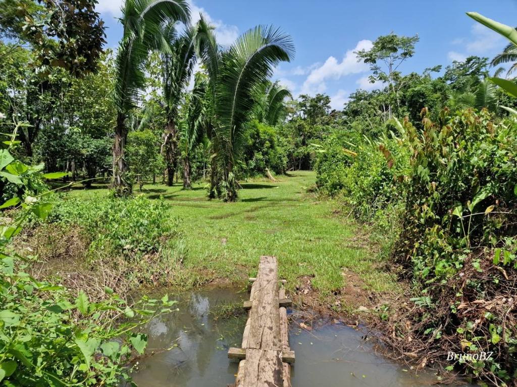 listing image with ID 67898