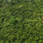 listing image thumbnail with ID 66678