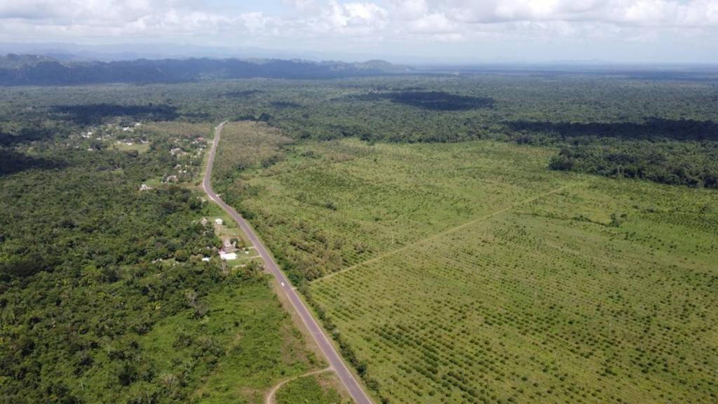 listing image with ID 68128