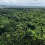 listing image thumbnail with ID 65237