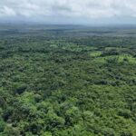 listing image thumbnail with ID 65239