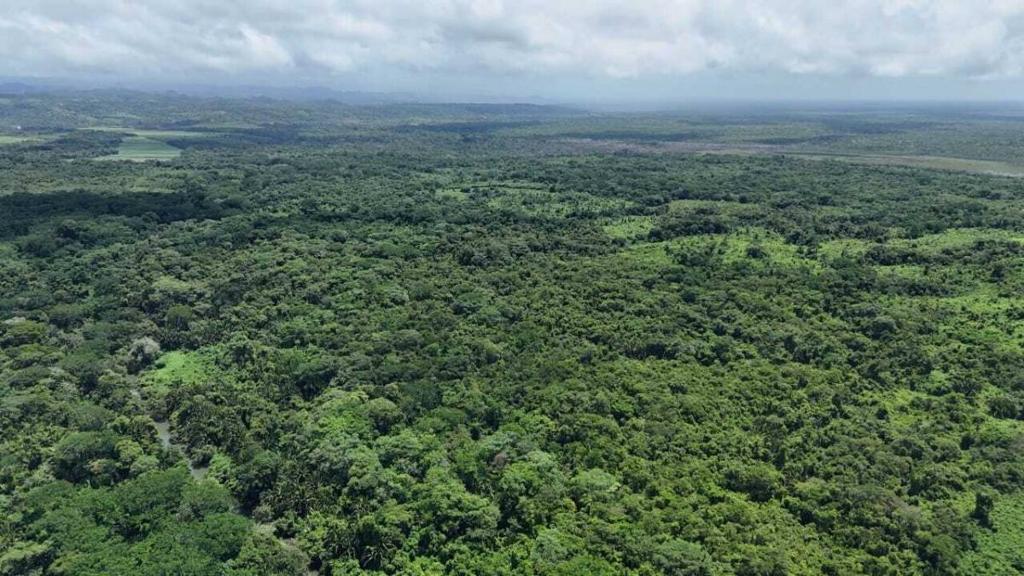 listing image with ID 65239