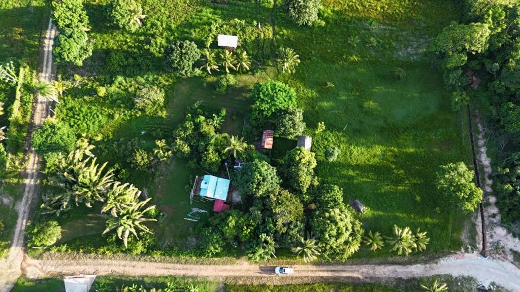 listing image with ID 67196