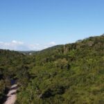 listing image thumbnail with ID 67772