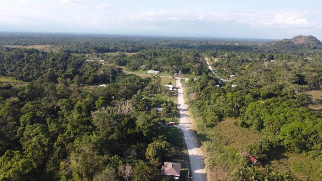 listing image with ID 66097