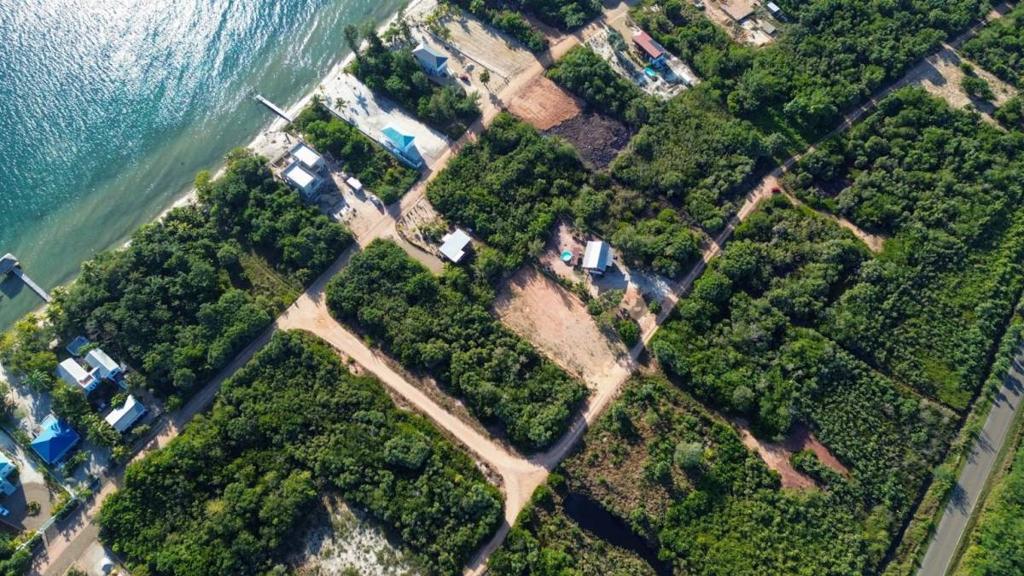 listing image with ID 67818