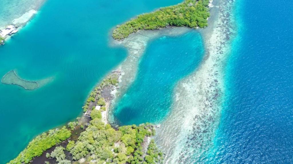 listing image with ID 66855