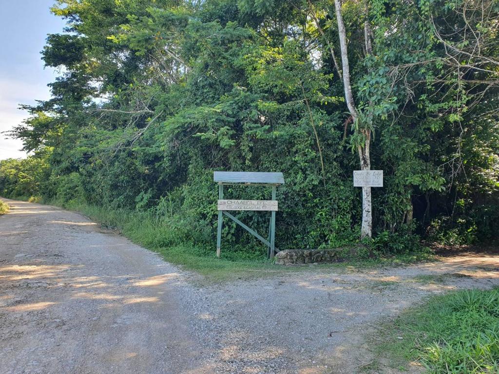 listing image with ID 64770