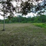 listing image thumbnail with ID 64460