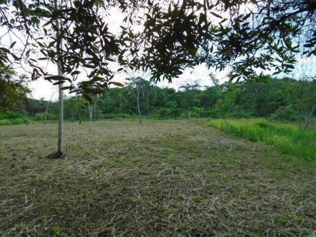 listing image with ID 64460