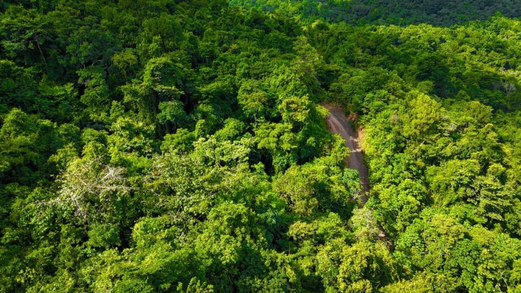 listing image with ID 63930