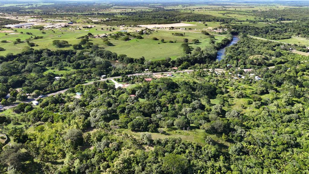 listing image with ID 68483