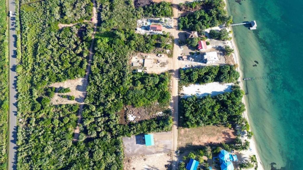 listing image with ID 67813