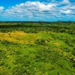 listing image thumbnail with ID 69114