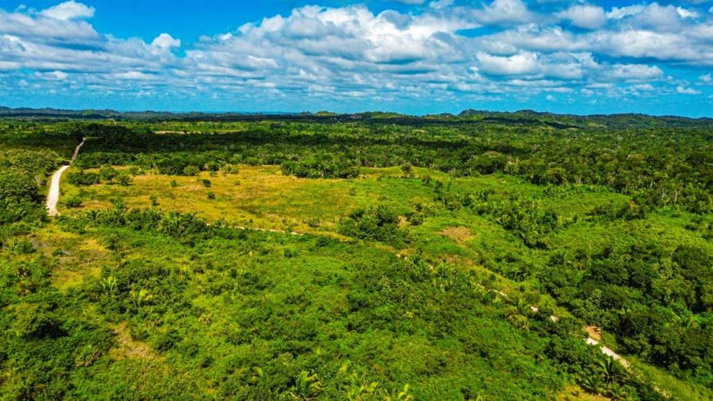 listing image with ID 69114