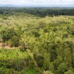 listing image thumbnail with ID 64222