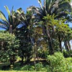 listing image thumbnail with ID 64934