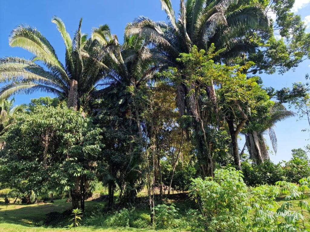 listing image with ID 64934