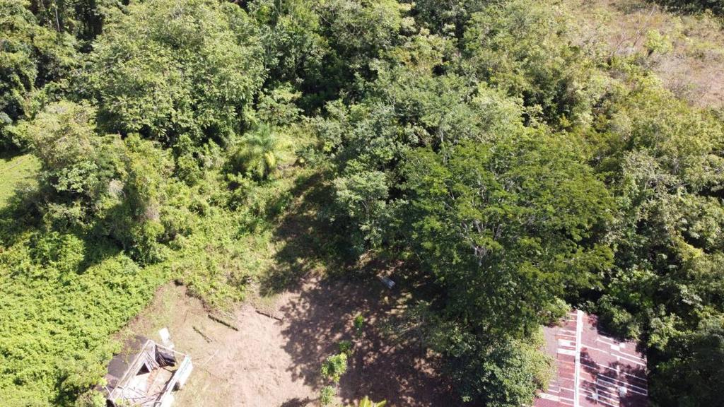 listing image with ID 64239