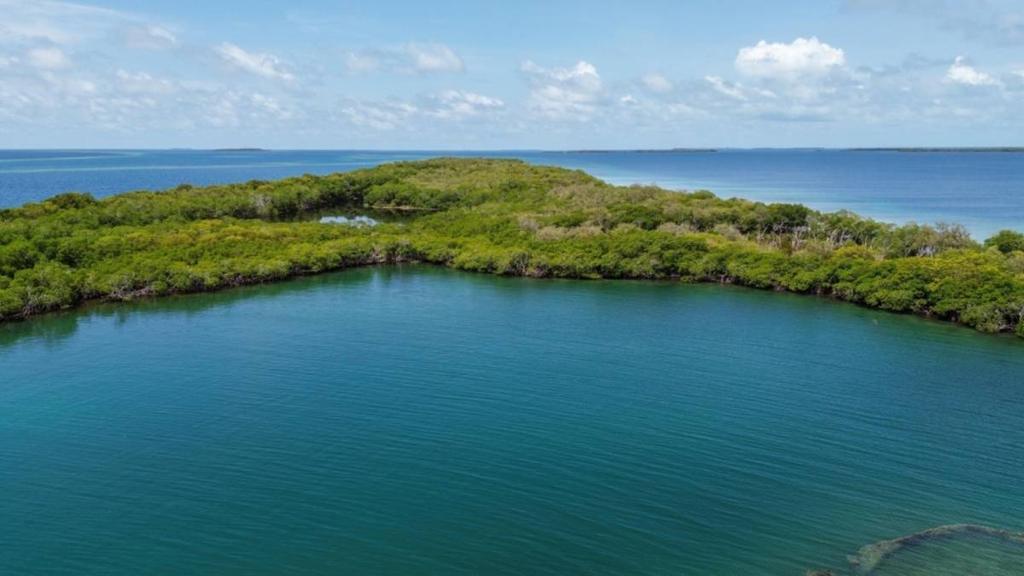 listing image with ID 66853