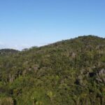 listing image thumbnail with ID 67770