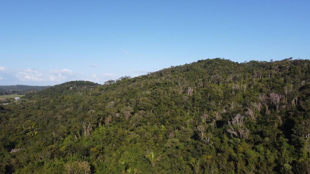 listing image with ID 67770