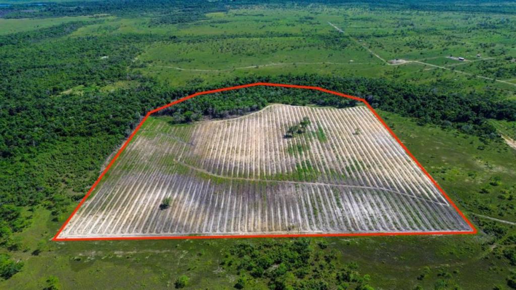 listing image with ID 65289