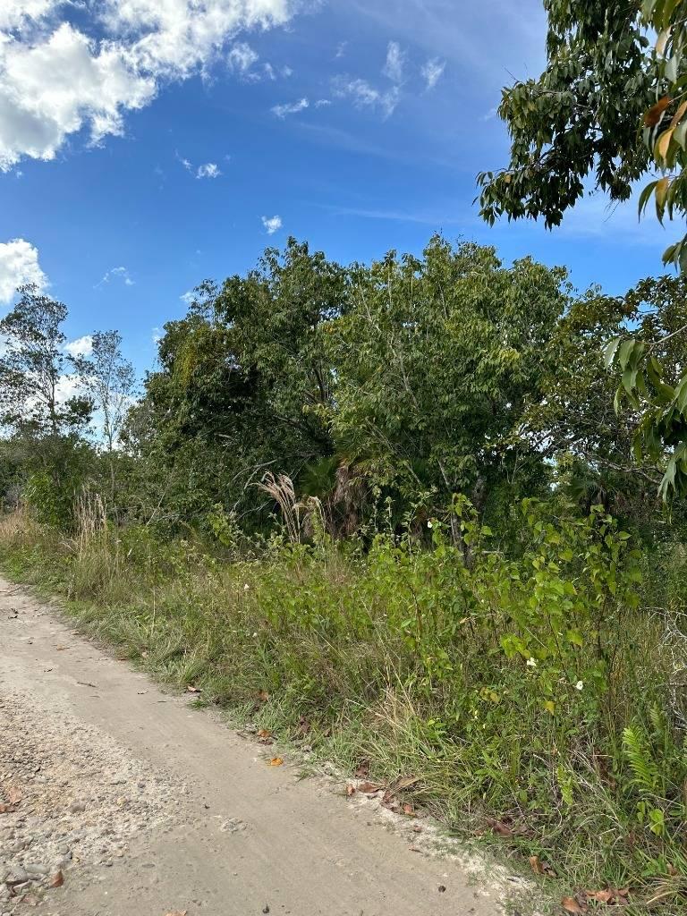 listing image with ID 63991