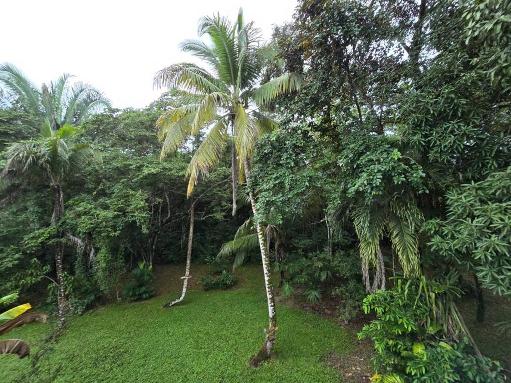 listing image with ID 65282