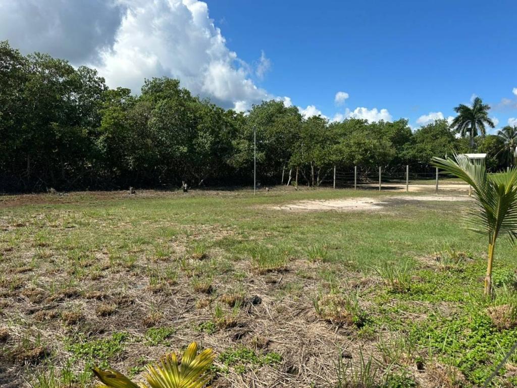 listing image with ID 65212