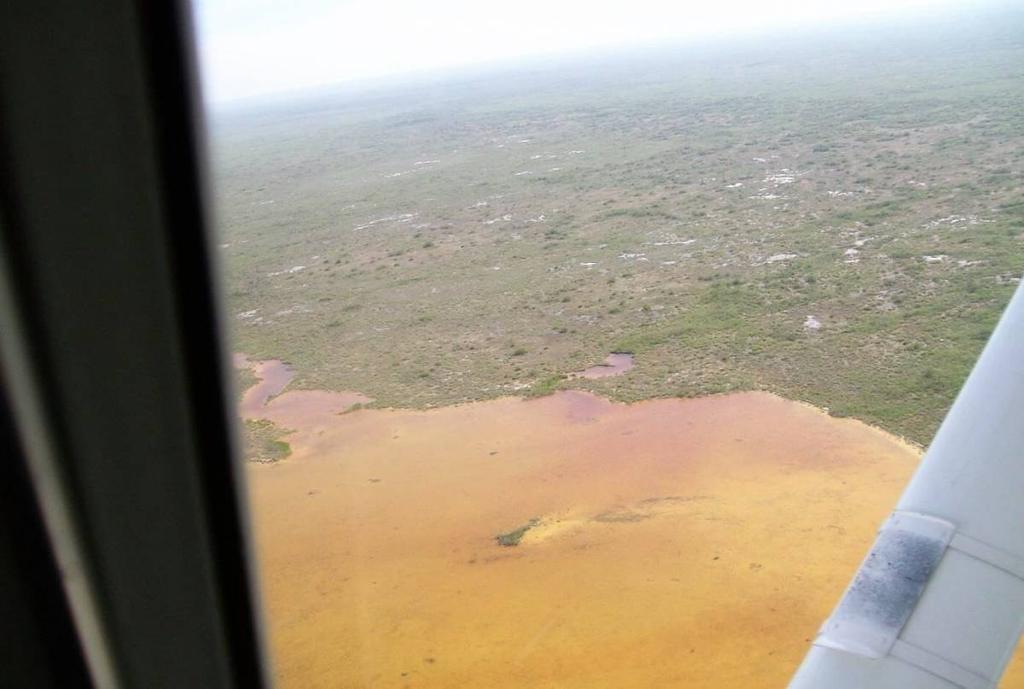 listing image with ID 68095