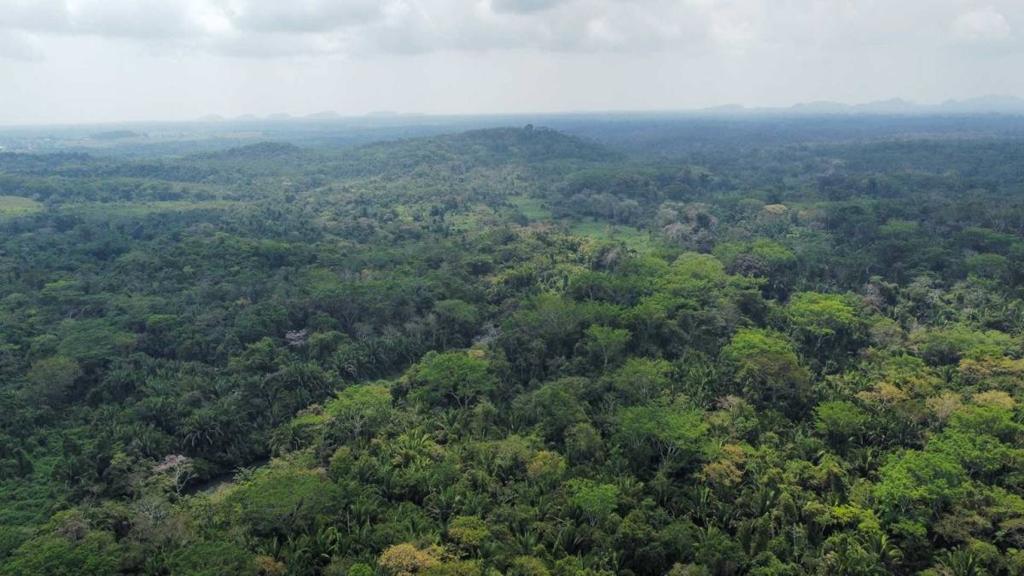 listing image with ID 64874