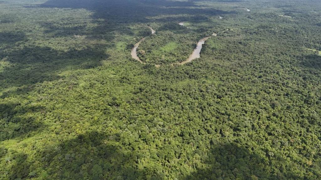 listing image with ID 65445