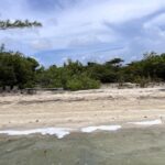 listing image thumbnail with ID 66134