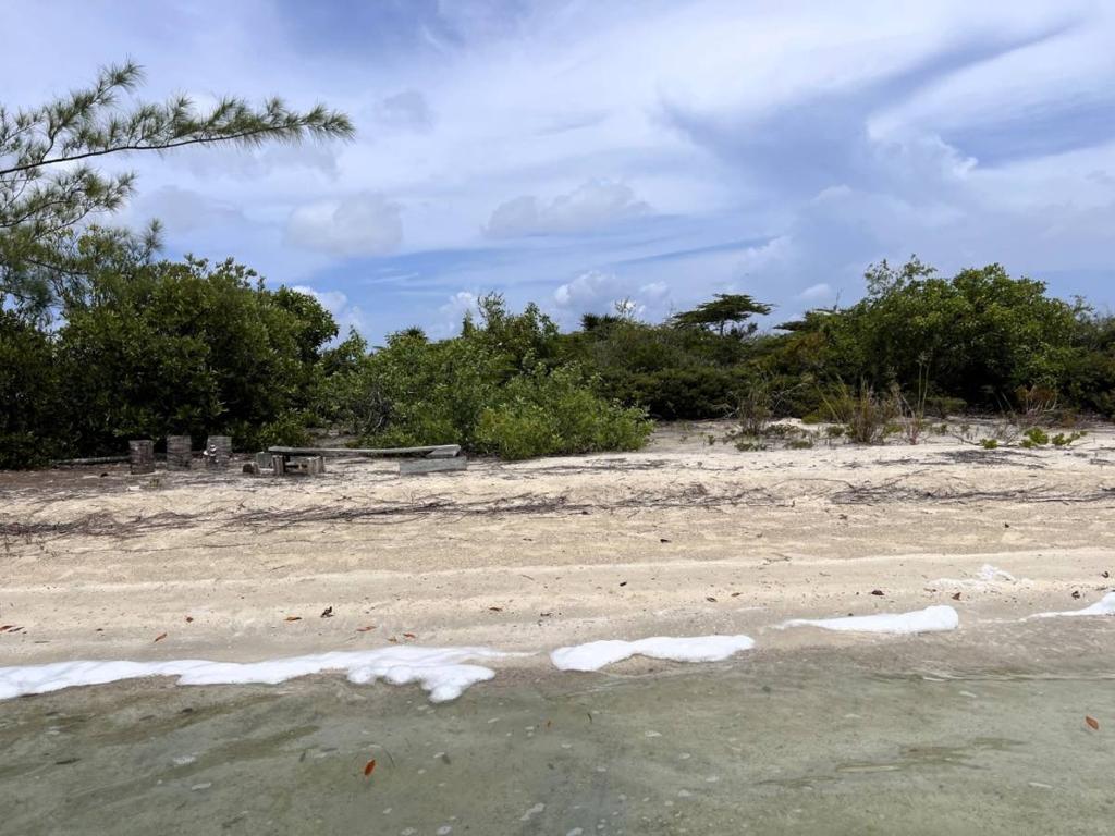 listing image with ID 66134